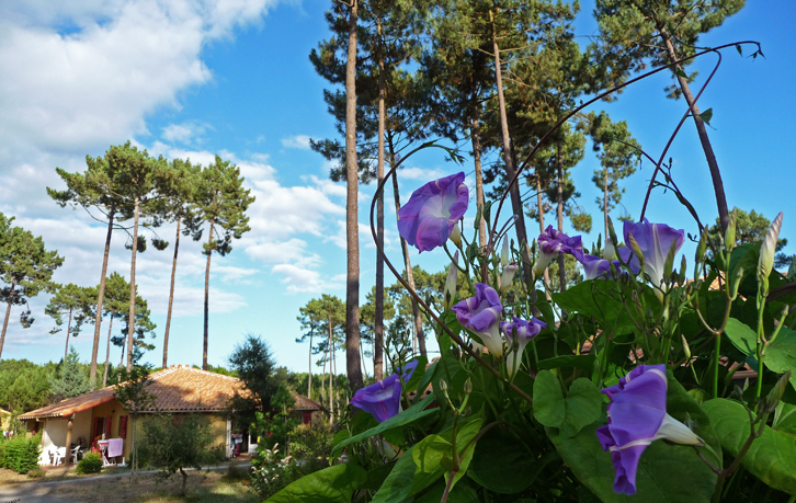 Club Vacances Le Lac Marin Aquitaine - Soustons visuel 4/10 Club Vacances Le Lac Marin Aquitaine - Soustons visuel 4/10