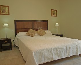 Cypres Provence-Alpes-Côte d'Azur - Saint-Rémy-de-Provence visuel 3/10 Cypres Provence-Alpes-Côte d'Azur - Saint-Rémy-de-Provence visuel 3/10