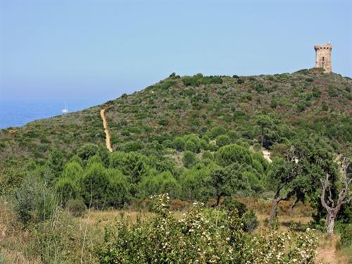 Residence de vacances Studio Favone Corse - Favone visuel 2/10