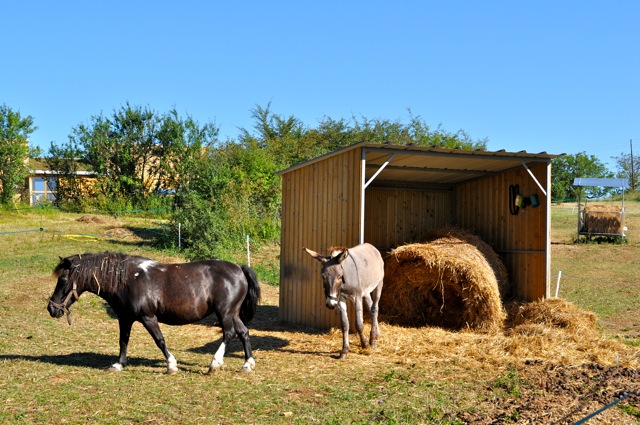 Domaine des Bories Aquitaine - Sorges visuel 7/10
