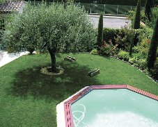 Honoré Daumier Provence-Alpes-Côte d'Azur - Carpentras visuel 10/10