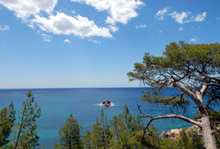Hôtel Club Vacanciel de Carqueiranne Provence-Alpes-Côte d'Azur - Carqueiranne visuel 7/10 Hôtel Club Vacanciel de Carqueiranne Provence-Alpes-Côte d'Azur - Carqueiranne visuel 7/10