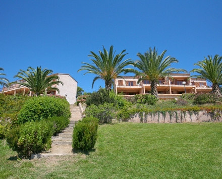 I Cardellini Corse - Solenzara visuel 4/4