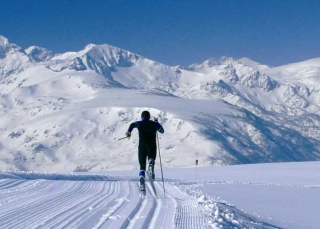 Isatis Midi-Pyrénées - Ignaux visuel 1/40