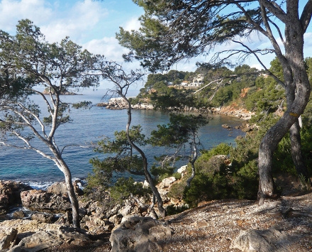 Résidence La Calanque d'Or Provence-Alpes-Côte d'Azur - Bandol visuel 8/10