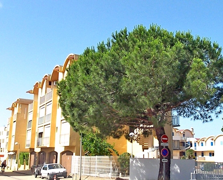 Résidence La Farigoule Languedoc-Roussillon - Gruissan visuel 10/10 Résidence La Farigoule Languedoc-Roussillon - Gruissan visuel 10/10