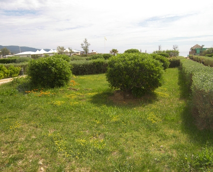 Résidence La Galiotte Provence-Alpes-Côte d'Azur - Le Lavandou visuel 3/6
