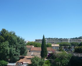 Résidence La Palmeraie Provence-Alpes-Côte d'Azur - Cavalaire-sur-Mer visuel 7/9