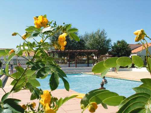 Résidence Lagrange Classic Atlantides et Les Marines Pays de Loire - Saint-Vincent-sur-Jard visuel 4/6 Résidence Lagrange Classic Atlantides et Les Marines Pays de Loire - Saint-Vincent-sur-Jard visuel 4/6