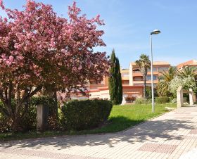 Résidence L'Argentière Plage Provence-Alpes-Côte d'Azur - La Londe-les-Maures visuel 5/10