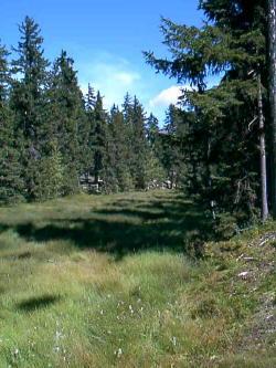 Résidence le 3ème Dé Rhône-Alpes - La Plagne visuel 3/10