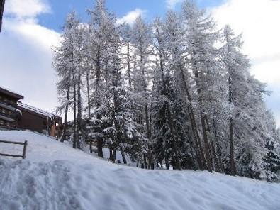 Résidence Le Dé 4 Rhône-Alpes - Montchavin les Coches visuel 1/10