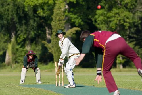 Le Domaine des Ormes Bretagne - Épiniac visuel 6/10
