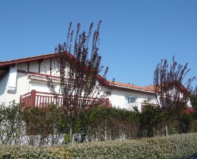 Résidence Le Flore Aquitaine - Anglet visuel 2/2