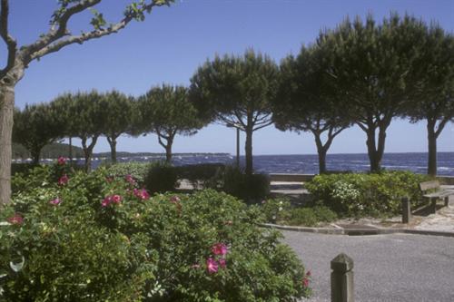 Résidence Le Grand Pavois Aquitaine - Carcans visuel 4/10