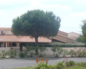 Le Hameau du Grazel Languedoc-Roussillon - Gruissan visuel 2/9 Le Hameau du Grazel Languedoc-Roussillon - Gruissan visuel 2/9