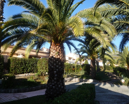 Résidence Le Jardin de Matisse Provence-Alpes-Côte d'Azur - Vence visuel 5/10