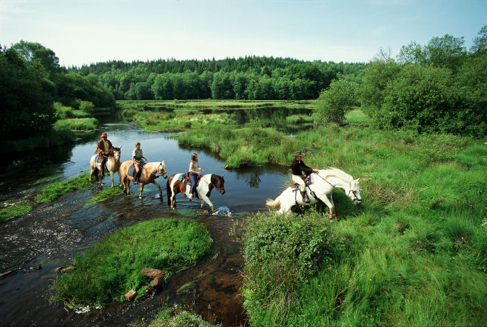 Le Logis de Séchemailles Limousin - Meymac visuel 7/7 Le Logis de Séchemailles Limousin - Meymac visuel 7/7
