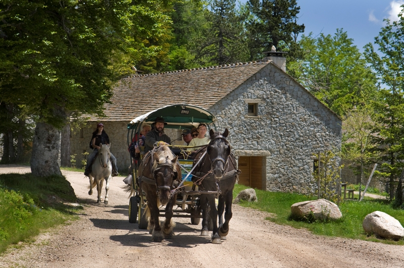 Le Mas de la Barque Languedoc-Roussillon - Villefort visuel 9/10
