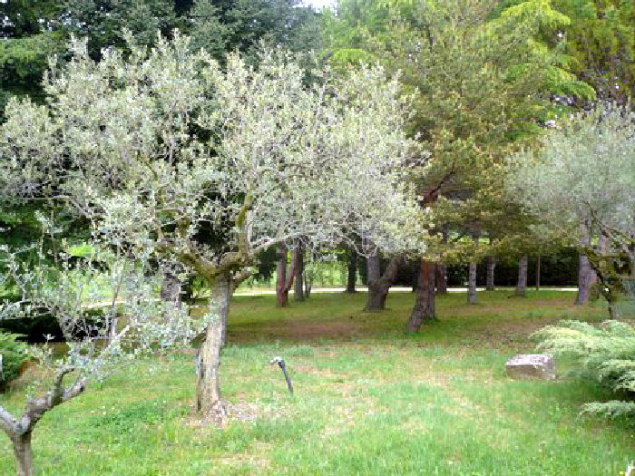 Le Mas Saint Pierre Provence-Alpes-Côte d'Azur - Malaucène visuel 4/6