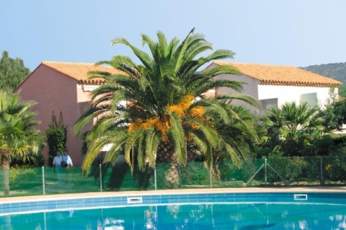 Résidence Le Park Provence-Alpes-Côte d'Azur - Le Lavandou visuel 5/15