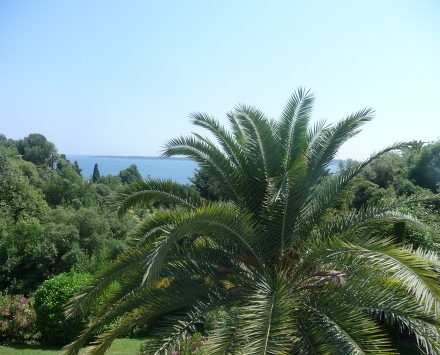 Résidence Le Solvida Provence-Alpes-Côte d'Azur - Cannes visuel 4/4