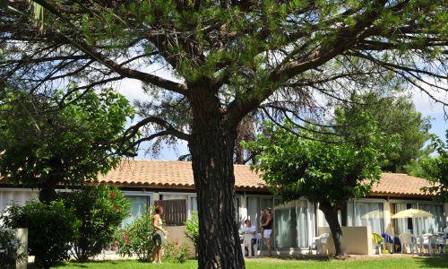 Le Village Mas Blanc Languedoc-Roussillon - Pérols visuel 4/19