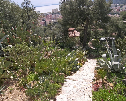 Résidence Les Alysees Provence-Alpes-Côte d'Azur - Le Lavandou visuel 5/7