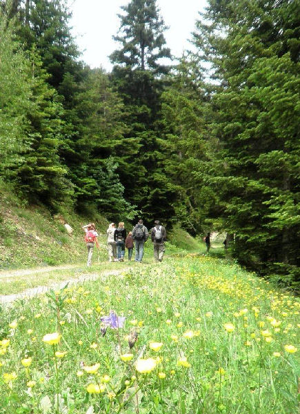 Résidence Les Blanches Provençales Provence-Alpes-Côte d'Azur - Selonnet visuel 3/10 Résidence Les Blanches Provençales Provence-Alpes-Côte d'Azur - Selonnet visuel 3/10