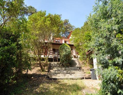 Résidence Les Chlorophylles Aquitaine - Lacanau visuel 3/10 Résidence Les Chlorophylles Aquitaine - Lacanau visuel 3/10