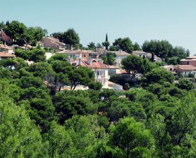 Les Cystes Provence-Alpes-Côte d'Azur - Hyères visuel 2/12 Les Cystes Provence-Alpes-Côte d'Azur - Hyères visuel 2/12