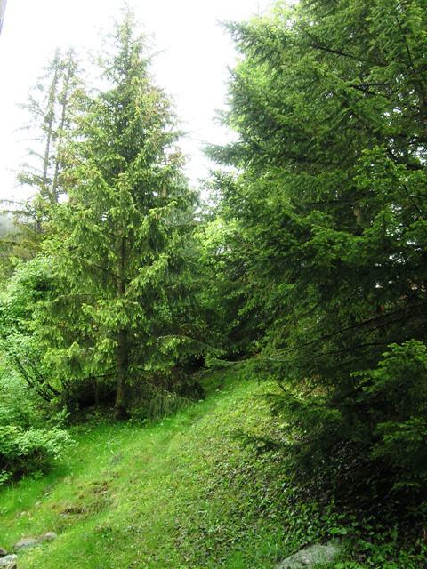 Résidence Les Diablerets Rhône-Alpes - Méribel visuel 3/11