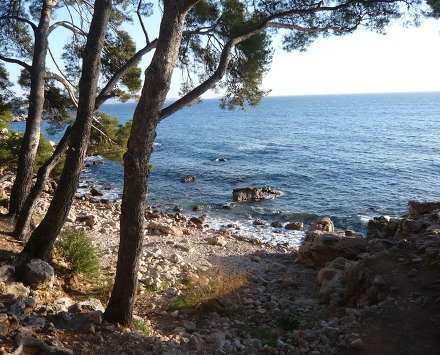 Résidence les Hameaux de l'Ile Rousse Provence-Alpes-Côte d'Azur - Bandol visuel 7/10