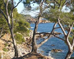 Résidence les Hameaux de l'Ile Rousse Provence-Alpes-Côte d'Azur - Bandol visuel 4/10