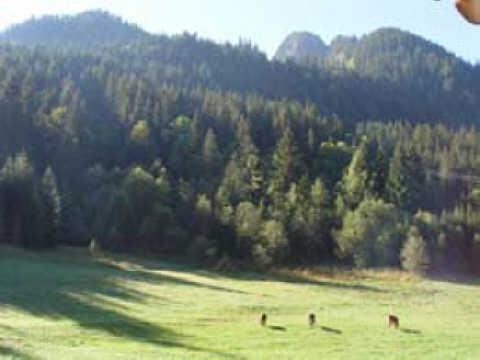 Résidence Les Iris Rhône-Alpes - Châtel visuel 1/10