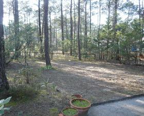 Résidence Les Jardins de Lacanau Aquitaine - Lacanau visuel 2/7