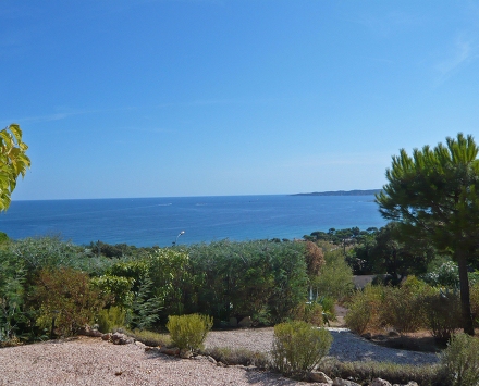 Résidence Les Lavandines Provence-Alpes-Côte d'Azur - Sainte-Maxime visuel 1/10 Résidence Les Lavandines Provence-Alpes-Côte d'Azur - Sainte-Maxime visuel 1/10