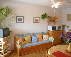 Résidence Les Oliviers Languedoc-Roussillon - Saint-Cyprien visuel 2/10