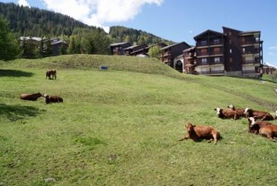 Résidence Les Plaisances Rhône-Alpes - La Plagne - Montalbert visuel 3/4