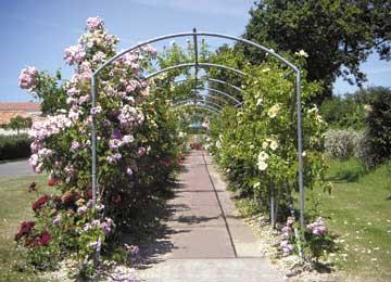 Les Résidences de Saint Michel chef chef Pays de Loire - Saint-Michel-Chef-Chef visuel 10/10 Les Résidences de Saint Michel chef chef Pays de Loire - Saint-Michel-Chef-Chef visuel 10/10