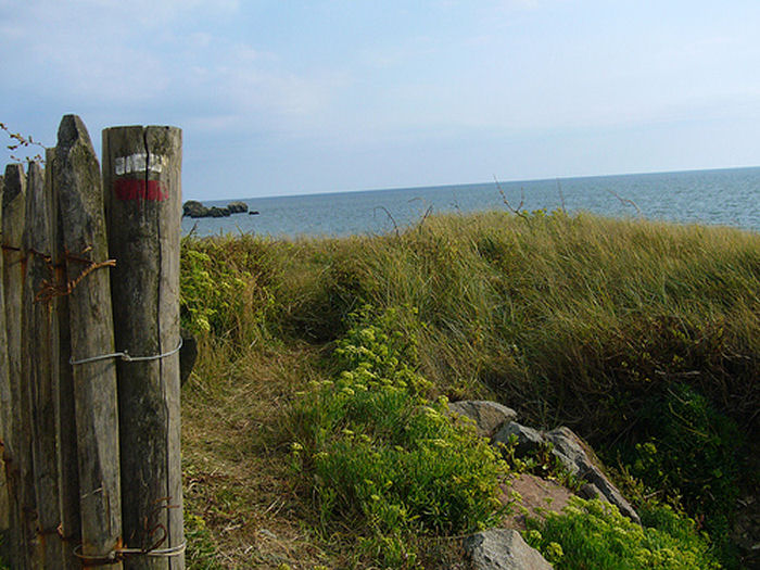 Les Résidences de St Hilaire de Riez Pays de Loire - Saint-Hilaire-de-Riez visuel 1/4 Les Résidences de St Hilaire de Riez Pays de Loire - Saint-Hilaire-de-Riez visuel 1/4