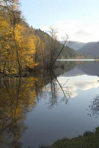 Résidence LocaChalet Lorraine - Xonrupt-Longemer visuel 2/6