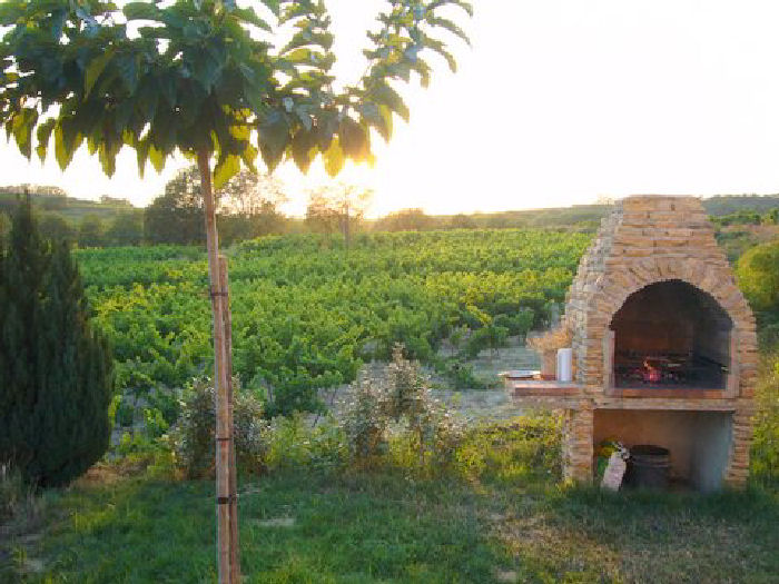 L'Oliveraie Provence-Alpes-Côte d'Azur - Faucon visuel 4/5