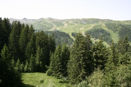 Résidence L'Ours Brun Rhône-Alpes - Méribel visuel 4/5
