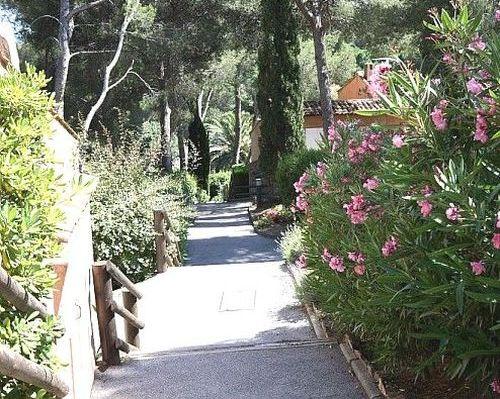Résidence Maeva le Domaine de Garlande Provence-Alpes-Côte d'Azur - Cavalaire-sur-Mer visuel 10/10
