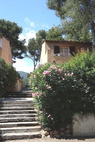 Résidence Maeva le Domaine de Garlande Provence-Alpes-Côte d'Azur - Cavalaire-sur-Mer visuel 5/10