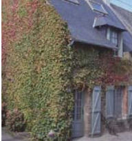 Maison 5 Personnes Cancale Bretagne - Cancale visuel 1/1