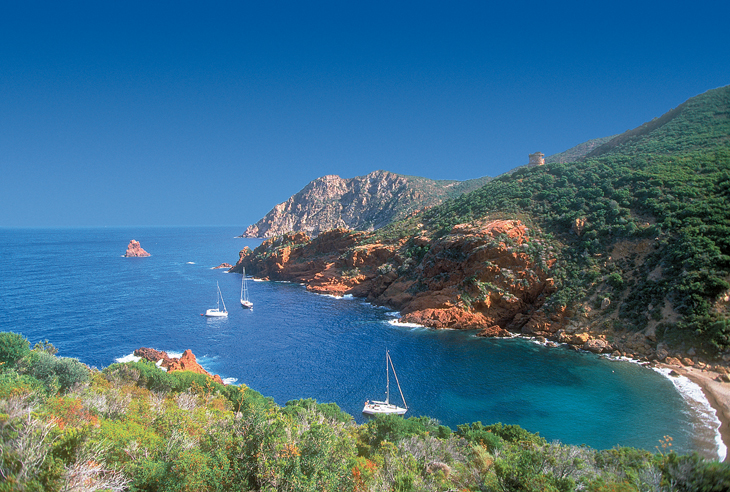 Résidence Marina Livia Corse - Serriera visuel 1/6 Résidence Marina Livia Corse - Serriera visuel 1/6