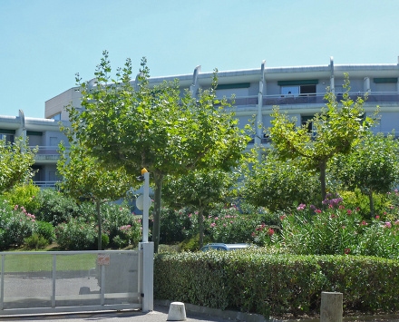 Résidence Martinic Languedoc-Roussillon - La Grande Motte visuel 8/10 Résidence Martinic Languedoc-Roussillon - La Grande Motte visuel 8/10