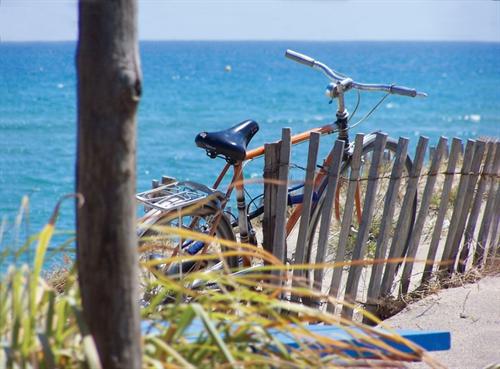 Mas de Torreilles Languedoc-Roussillon - Torreilles visuel 1/10
